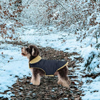 Queenmore Warm Coat for Cold Weather, Quilting Winter Jacket With Ultra Thick Plush Lining and Storage Pockets (Green, Medium)