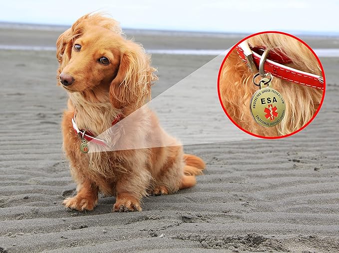 DOUBLE SIDED Small Breed Emotional Support Animal ESA Tag Red Medical Alert Symbol and Protected by Federal Law .999 inch ID Tag. Easily switch between collars harness and vest.