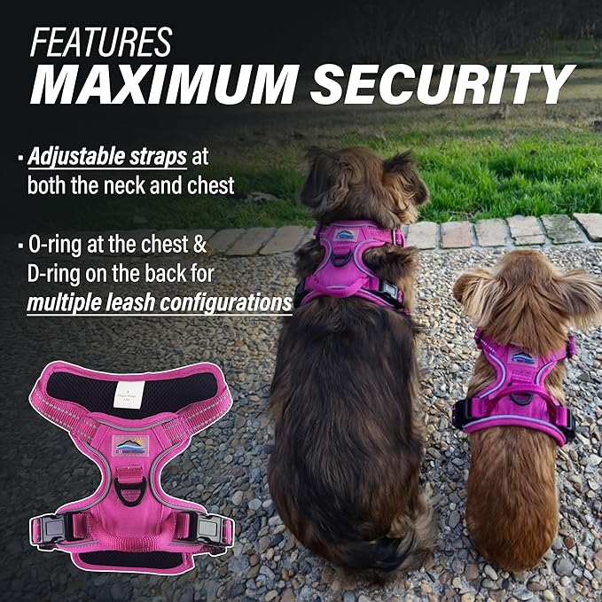 Doggie Design Venture Paw No Pull Dog Harness - Simple Adjustable Puppy Harness - Anti Pull Dog Collar for Walks and Outdoor Adventures - Wild Raspberry, S