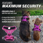 Doggie Design Venture Paw No Pull Dog Harness - Simple Adjustable Puppy Harness - Anti Pull Dog Collar for Walks and Outdoor Adventures - Wild Raspberry, S