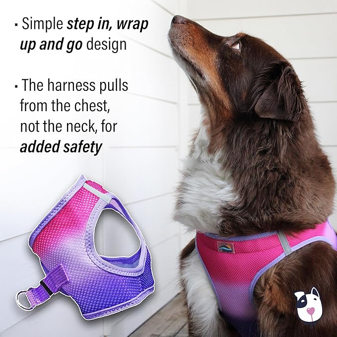 Doggie Design Dog Harness - No Choke Dog Harness, Dog Vest, Mesh Polyester, Pet Harness, Simple Step in Design, Harness for Dog - Raspberry Sundae, 3XL