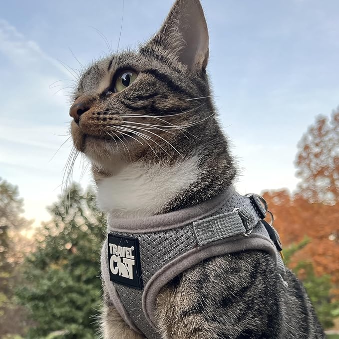 Travel Cat Harness and Leash Set - Adjustable Fit Mesh Cat Harness and Reflective Strap - Comfort Walking Vest for Kitten for Outdoor Walking, Hiking (Small, Grey)