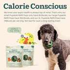 WOOF Pupsicle Refill Pops, Delicious Long Lasting Dog Treats, Pre-Made Pupsicle Refills for Dogs, Wholesome Ingredients, Low-Mess Chicken Pet Treats - Small Pops - 10 Count