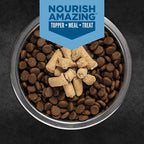 ORIJEN Epic Bites Freeze-Dried Dry Dog Food Original Recipe 6oz Bag