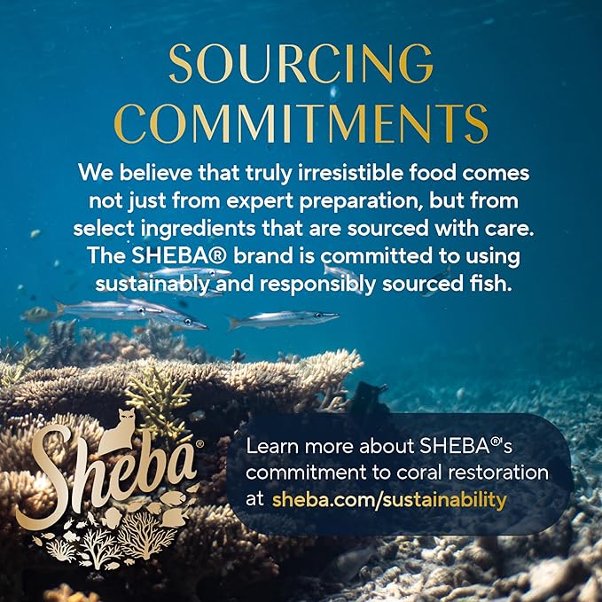 Sheba Perfect Portions Wet Cat Food Cuts in Gravy, with Sustainable Tuna, Roasted Chicken Entree, 2.6 oz. Twin-Pack Trays (6 Count, 12 Servings) (Pack of 2)