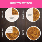 Purina Pro Plan Veterinary Diets UR Urinary St/Ox Feline Formula Dry Cat Food - 6 lb. Bag