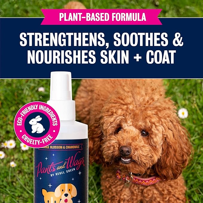 Rebel Green Pants & Wags Anti-Itch & Scratch Dematting Spray - Dog Hair Detangler - Orange Blossom & Chamomile - Hypoallergenic - No Dyes or Perfumes - 8 oz - 2 Pack