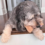 SPOT Dura-Fused Leather Small Bone Dog Toy – Durable Chew Toy with Real Leather & Jute, Squeaker, and Double-Stitched Seams for Moderate Chewers, Small & Medium Dogs, 7in