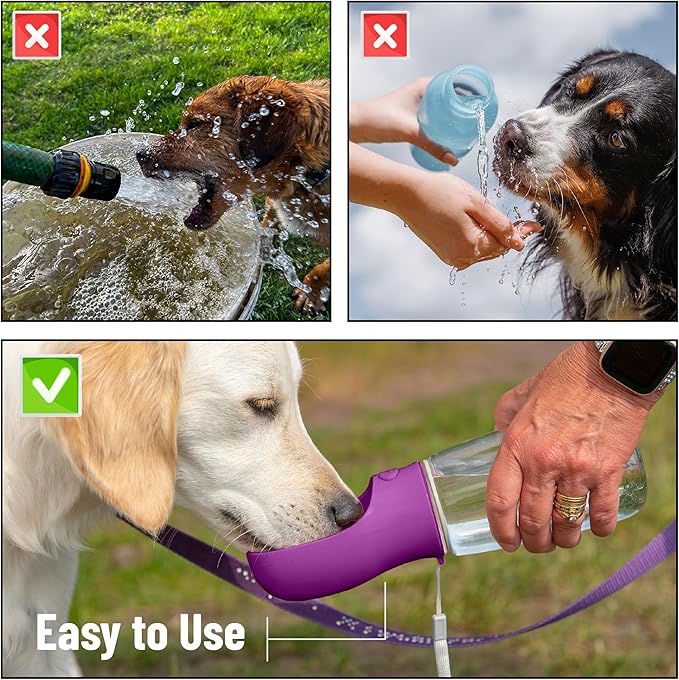 Mr. Pen Portable Dog Water Bottle, 19 oz, Large, Purple, Travel Dog Water Bottle Dispenser, Not Dishwasher Safe