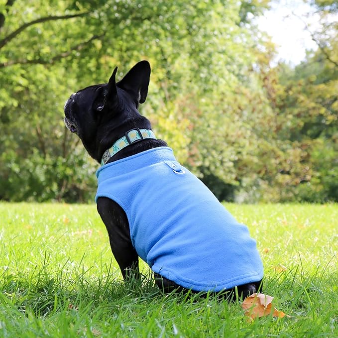 JACKO & CO - Fleece Vest Sweater with Leash Ring - Soft Lightweight Breathable for Puppies Small Medium Dogs, Kitten, Cats, Chihuahua - Warm for Fall/Autumn/Winter (Blue, Medium 6-10lbs)