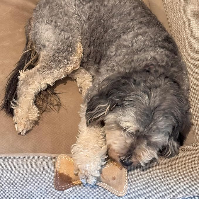 SPOT Dura-Fused Leather Small Bone Dog Toy – Durable Chew Toy with Real Leather & Jute, Squeaker, and Double-Stitched Seams for Moderate Chewers, Small & Medium Dogs, 7in