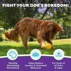 Outward Hound by Nina Ottosson Treat Tumble Interactive Puzzle Ball Dog Toy, Level 1 Beginner, Pink, Large (5.75" Diameter)