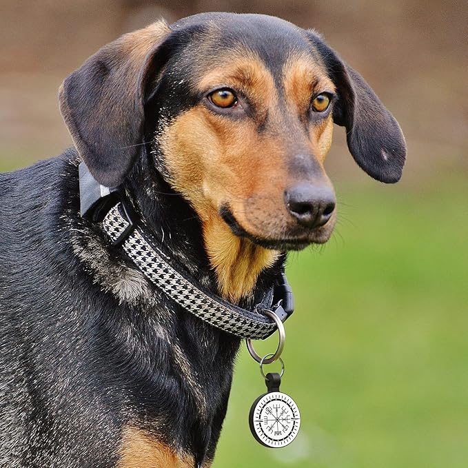 MYLUCKYTAG QR Code Silicone Pet ID Tag for Dogs and Cats - Online Profile, Location Alert Email, Digital and Quiet Tag, Durable Collar ID, Engraved