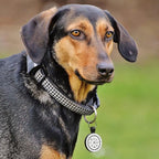 MYLUCKYTAG QR Code Silicone Pet ID Tag for Dogs and Cats - Online Profile, Location Alert Email, Digital and Quiet Tag, Durable Collar ID, Engraved