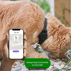 Tile Sticker Cat Collar Holder (2024): The Smallest, Lightest, and Most Comfortable Tracking Case for Cats - Track Your Pet with iPhone Samsung Android Device - Life360 for Boy Girl Kittens (Orange)