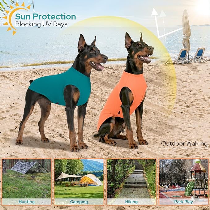 2 Pack Dog Shirts, Quick Dry Lightweight Dog T-Shirts Sleeveless Vest, Breathable Pet Clothes Tank Top for Large Medium Dogs, Mint Blue+Orange Yellow (S)