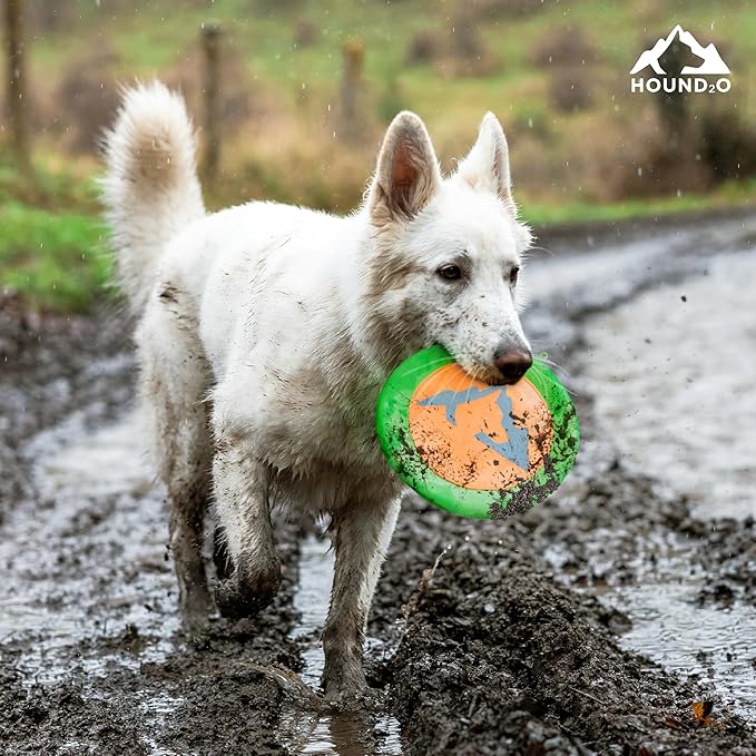Playology Hound2O Dog Toys | Reflective Flyer Toy Frisbee for Dogs | Orange Outdoor Toy - Easy to Clean and Made from Non Toxic Materials