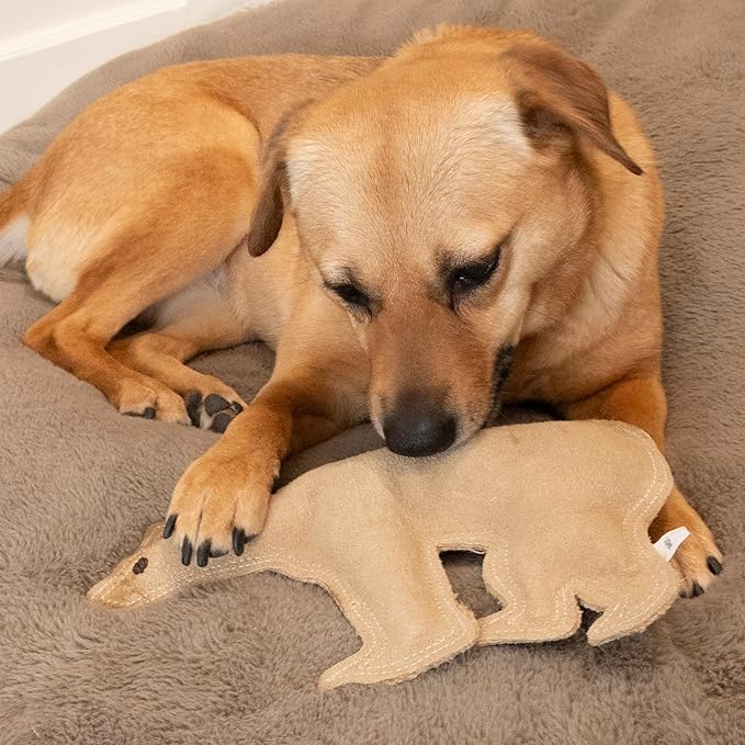 SPOT Dura-Fused Leather Bear Dog Toy – Durable Real Leather & Jute Chew Toy with Squeaker, Double-Stitched for Moderate Chewers, Medium & Large Dogs, 11.5in