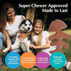 Dog Chew Toys for Aggressive Chewers (2Pcs - Real Beef & Salmon Flavored) - Durable Dog Tough Wish Bone (Upto 40 lbs.) - Indestructible Chew Toys for Dogs for Interactive Play & Dental Benefits