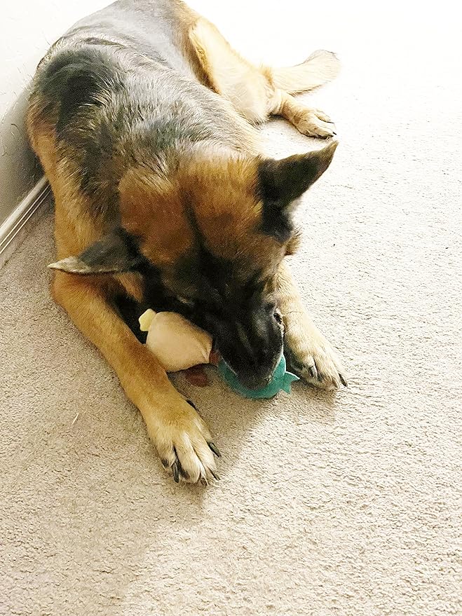 Jalousie Multipack Dog Squeaky Toys Strong Almost Indestructible, with Added Liner for Longer Play Dog Chew Toys (Medium Size - 6 Pack Assorted Animals)