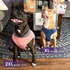 cyeollo 2 Pack Dog Sweater Fleece Vest Pullover Sweatshirt Dog Jacket Reflective Stretchy Lightweight Pet Clothes Cold Weather Coats for Medium Dogs Boy Navy & Grey
