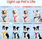 Pawaii No Pull Dog Harness with Pet ID Tag,Reflective Strips No Choke Front O Ring Breathable Mesh Adjustable Soft Padded Pet Vest with Easy Control Handle for Large Dogs