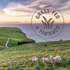 K9 Natural - Grain Free Freeze Dried Dog Food - Lamb, 8lb