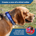 GoTags Personalized Dog Collar, Custom Embroidered Pet ID Dog Collar with Pet Name and Phone Number, Adjustable with Quick Release Snap Buckle