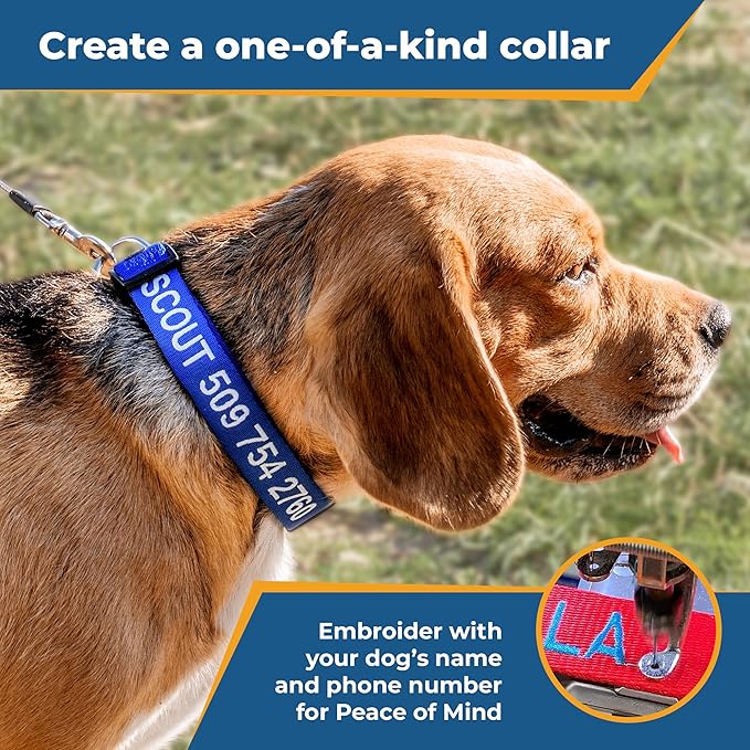 GoTags Personalized Dog Collar, Custom Embroidered Pet ID Dog Collar with Pet Name and Phone Number, Adjustable with Quick Release Snap Buckle