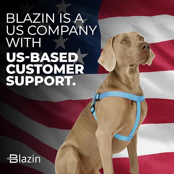 BLAZIN No Pull Dog Harness - Adjustable Step-in Reflective Nylon Vest Harness - Neoprene Padded for Extra Comfort (Medium, Blue)