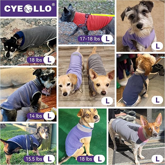 cyeollo 2 Pack Fleece Dog Sweater Stretchy Pullover Soft Dog Jacket with Reflective Stripe Lightweight Sweatshirt Pet Clothes Coats for Small Dogs Grey & Blue