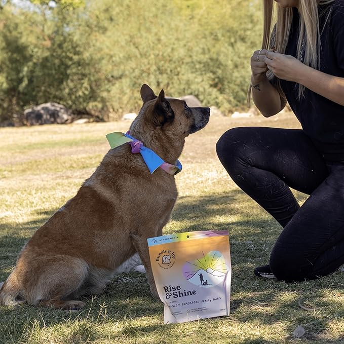 Rise & Shine Dog Treats, Chicken Jerky, Snack Bars, Puppy Training Treats, Natural Superfood, Grain, Corn, Poultry & Soy Free, 16oz