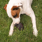 Chew King Supreme Dog Toy Collection, Large Supreme Treater