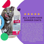 I AND LOVE AND YOU Feed Meow Shine Wet Cat Food - Salmon + Tuna - Coat and Skin Support, Grain Free, Shreeded, No Fillers, 3oz Pack of 12