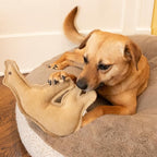 SPOT Dura-Fused Leather Bear Dog Toy – Durable Real Leather & Jute Chew Toy with Squeaker, Double-Stitched for Moderate Chewers, Medium & Large Dogs, 11.5in