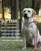 lynxking 6 FT Dog Leash Slip Lead 2 Pack Strong Heavy Duty Braided Dog Training Leash No Pull Training Lead Leashes for Medium Large and Small Dogs