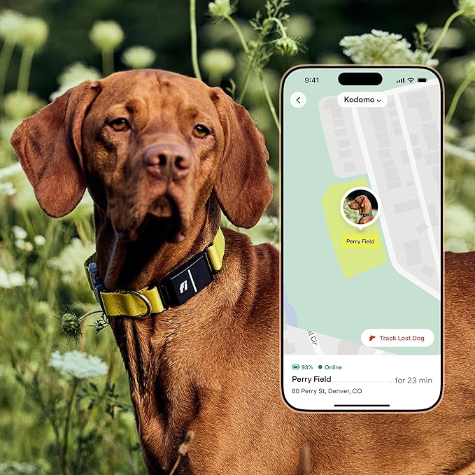 Fi Series 3+ Smart Dog Collar - GPS Dog Tracker and Activity & Fitness Monitor, Waterproof, LED Light, Escape Alerts, Nationwide Coverage [Free 6 Month Membership] (Yellow, Medium)
