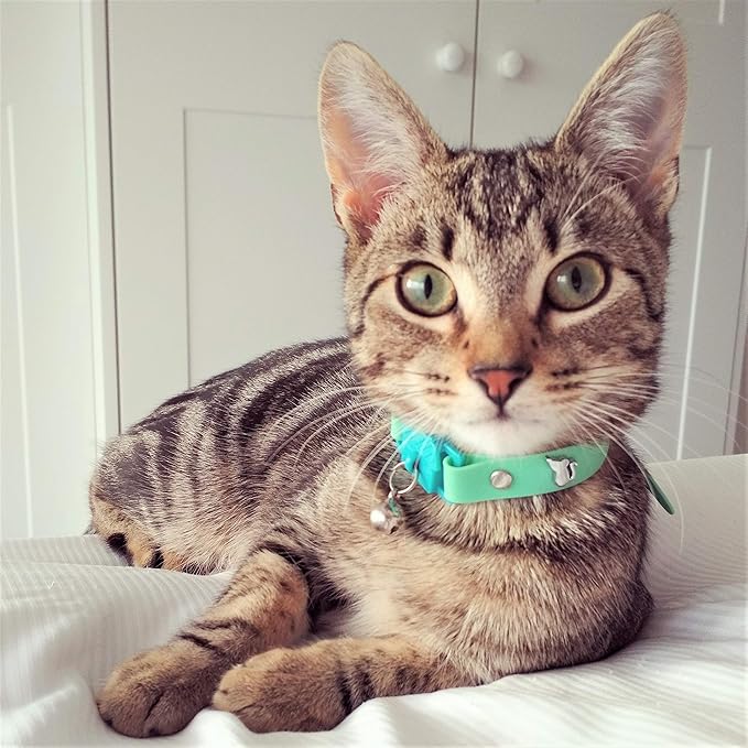 Kittyrama Meadow Cat Collar with Bell. Breakaway Collar. Won't Rub Fur. Lightweight, Soft & Comfy