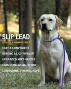 lynxking 6 FT Dog Leash Slip Lead 2 Pack Strong Heavy Duty Braided Dog Training Leash No Pull Training Lead Leashes for Medium Large and Small Dogs