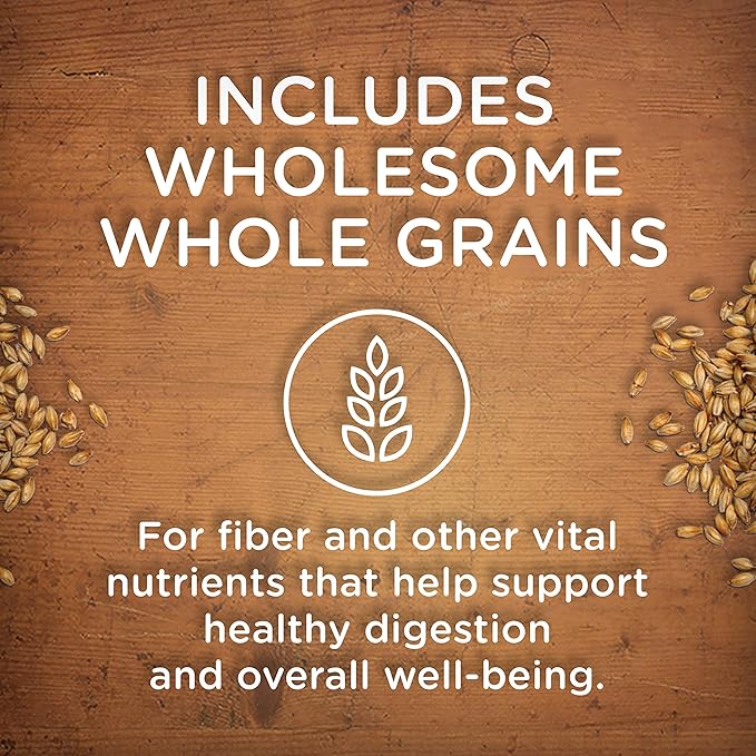 Nutrish Rachael Ray Premium Natural Wet Dog Food, Beef Stroganwoof Recipe, 8 Ounce Tub (Pack of 8)