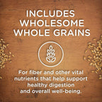 Nutrish Rachael Ray Premium Natural Wet Dog Food, Beef Stroganwoof Recipe, 8 Ounce Tub (Pack of 8)