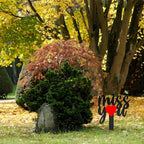 11.8 Inches Metal Memorial Grave Marker "Miss You" Cemetery Decoration Stake Waterproof Garden Plaque Loss of Dad Mom Spouse Lover Relatives Family Members Gravesite Plaque Outdoors Lawn Yard Signs