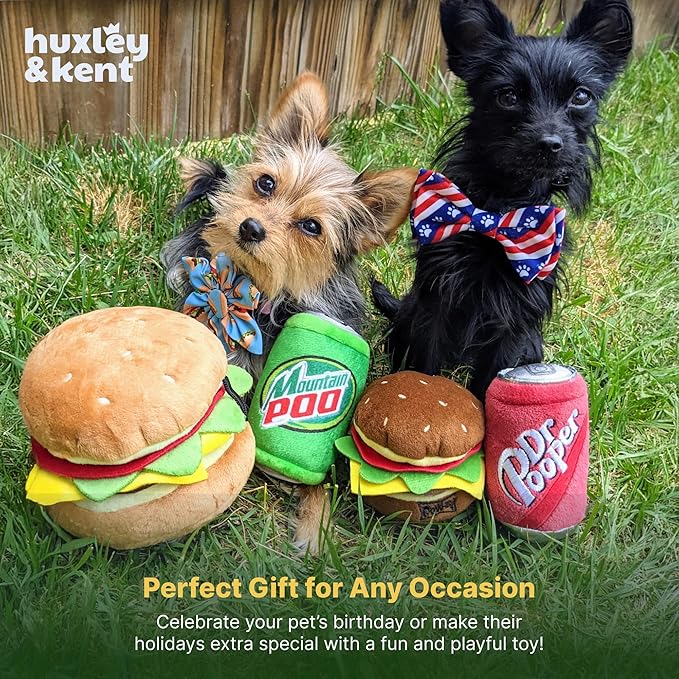 Huxley & Kent Funny Dog Toy w/Squeaker – Power Plush Squeaky Dog Toys for Small, Medium & Large Dogs – Soft Stuffed Animal for Indoor Play & Fetch - Dr Pooper, Small