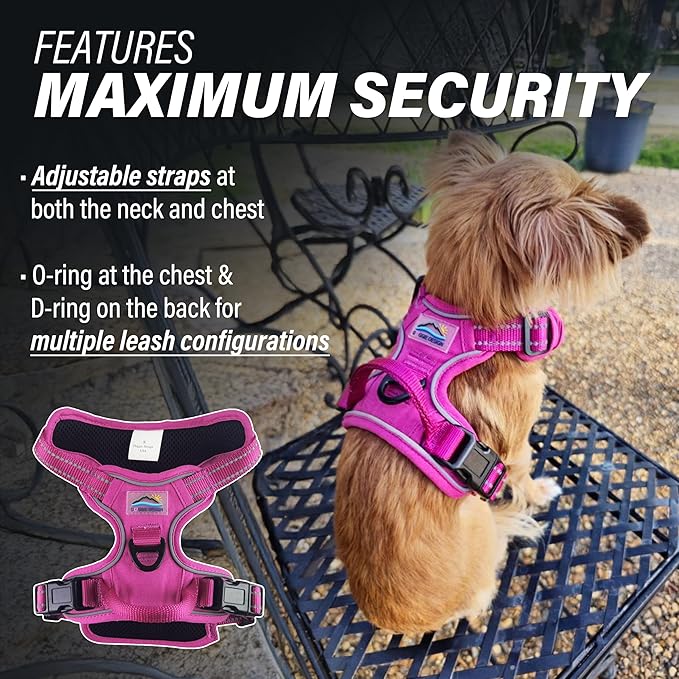 Doggie Design Venture Paw No Pull Dog Harness - Simple Adjustable Puppy Harness - Anti Pull Dog Collar for Walks and Outdoor Adventures - Wild Raspberry, XS