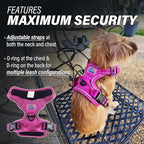 Doggie Design Venture Paw No Pull Dog Harness - Simple Adjustable Puppy Harness - Anti Pull Dog Collar for Walks and Outdoor Adventures - Wild Raspberry, XS