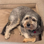 SPOT Dura-Fused Leather Small Bone Dog Toy – Durable Chew Toy with Real Leather & Jute, Squeaker, and Double-Stitched Seams for Moderate Chewers, Small & Medium Dogs, 7in