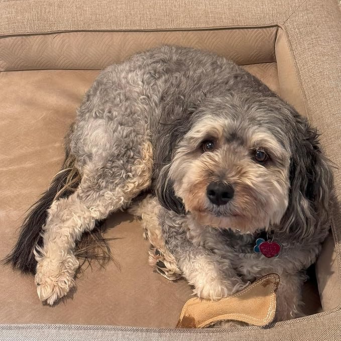 SPOT Dura-Fused Leather Small Bone Dog Toy – Durable Chew Toy with Real Leather & Jute, Squeaker, and Double-Stitched Seams for Moderate Chewers, Small & Medium Dogs, 7in