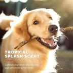 Wet Ones Multi-Purpose Pets Wipes with Aloe Vera for All Dogs - Tropical Splash Wipes for Dog Paws & All Over Use (Pack of 3, 300 Count Total)