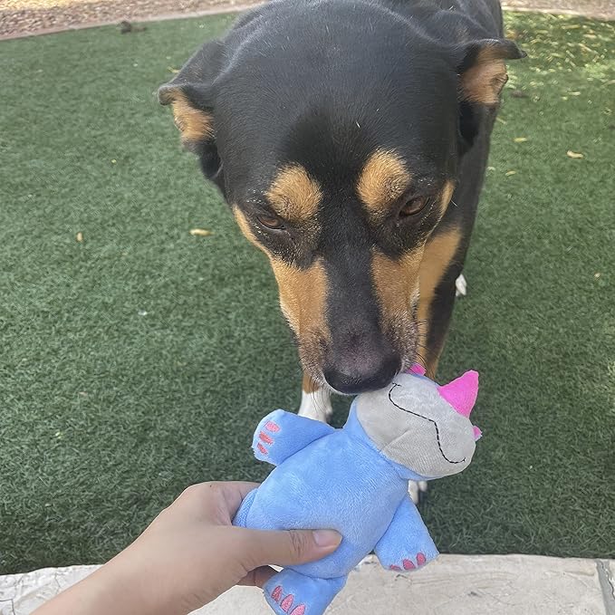 Jalousie Multipack Dog Squeaky Toys Strong Almost Indestructible, with Added Liner for Longer Play Dog Chew Toys (Medium Size - 6 Pack Assorted Animals)