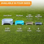 Neater Pet Brands Large Capacity Cat Bowls, Water Bowl for Cats, Reptiles, Chickens, Birds, & Small Animals, Cat Food Bowl (6 Cups), Indoor or Outdoor Water Trough & Feeder, Champagne